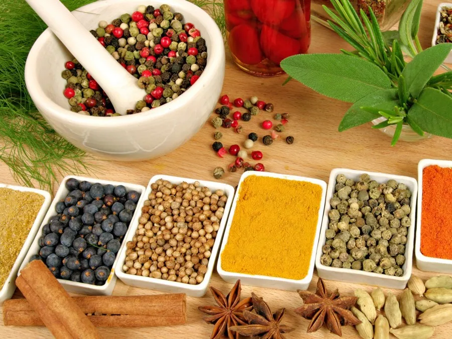 Budidaya Tanaman Herbal: Peluang Bisnis Menjanjikan untuk Kesehatan